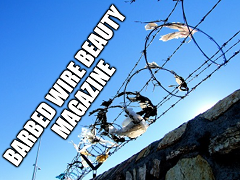 Barbed Wire Beauty Magazine